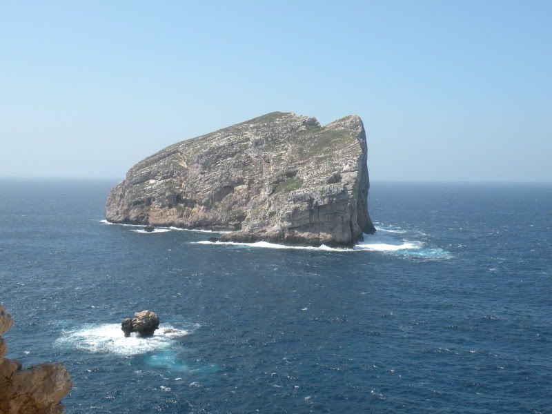 DSCN8317.jpg