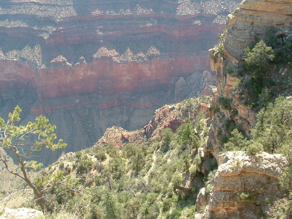 DSCF0572.jpg
