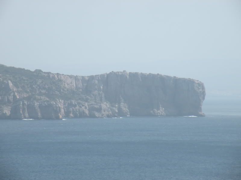 DSCN8316.jpg