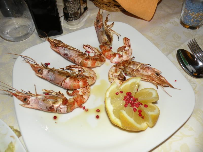 DSCN8185.jpg