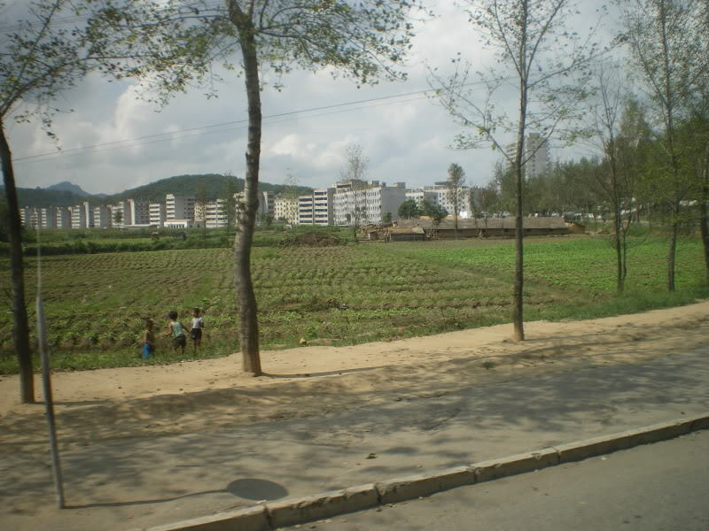 IMGP6131.jpg
