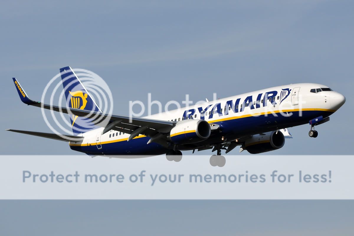 DSC_1166.jpg