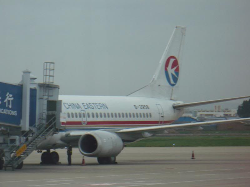 P1000942.jpg