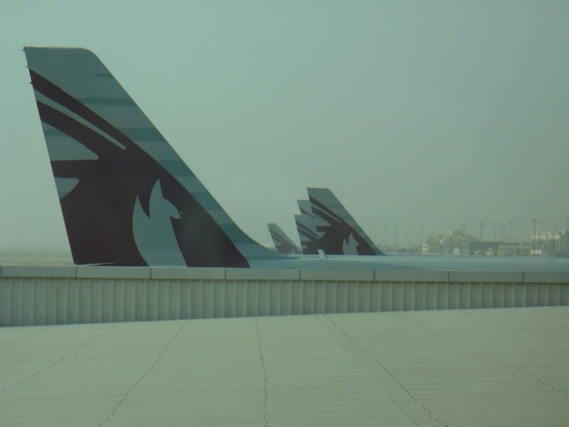 P1020149.jpg