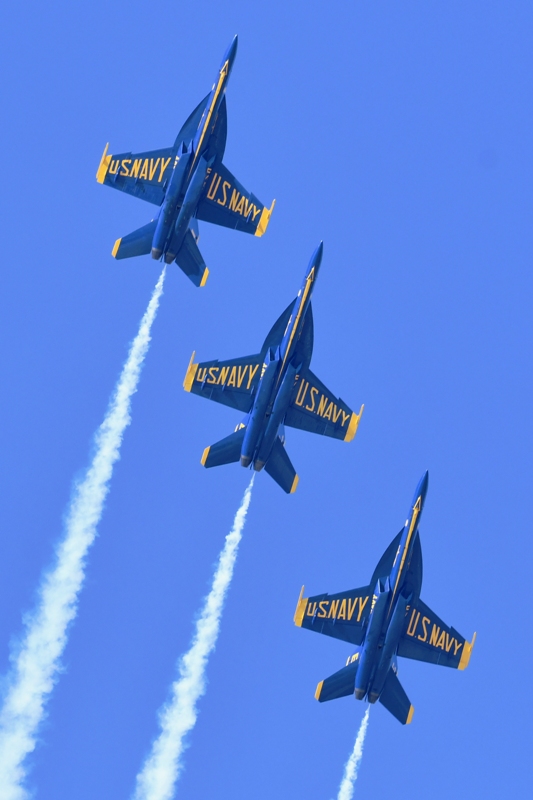 52023887394_5129e51c9f_o.jpg