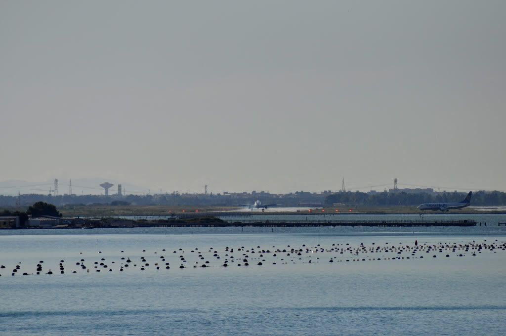 DSC_0486.jpg