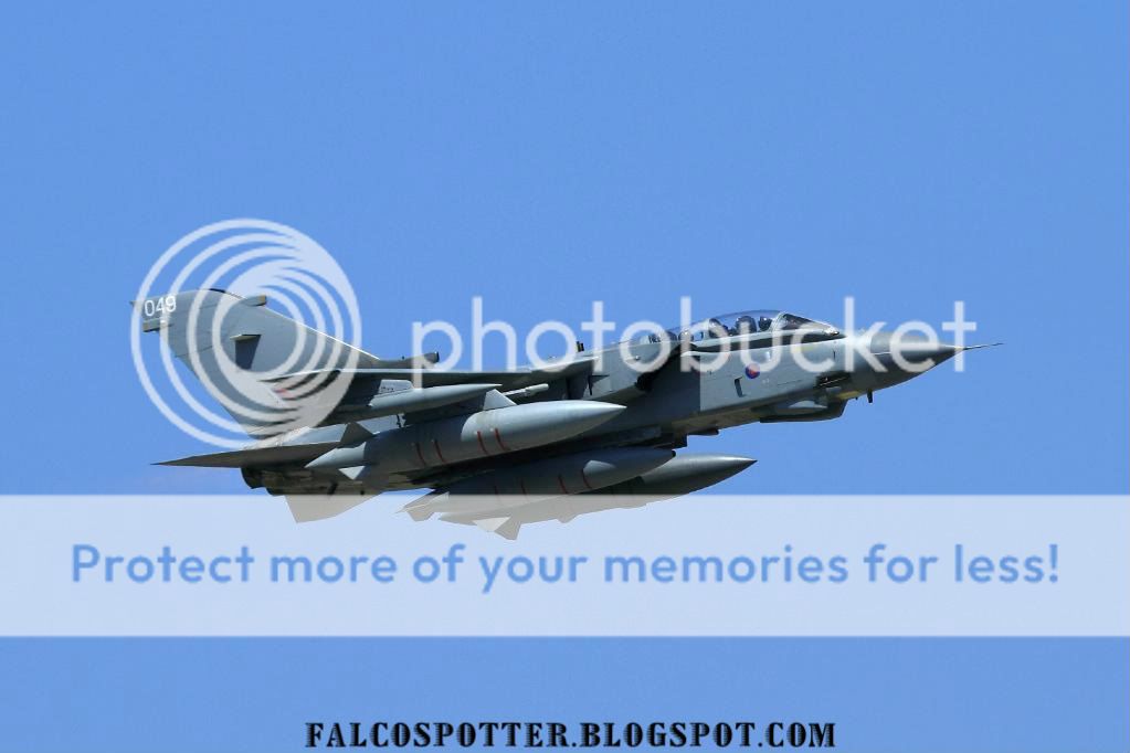 IMG_1627900.jpg
