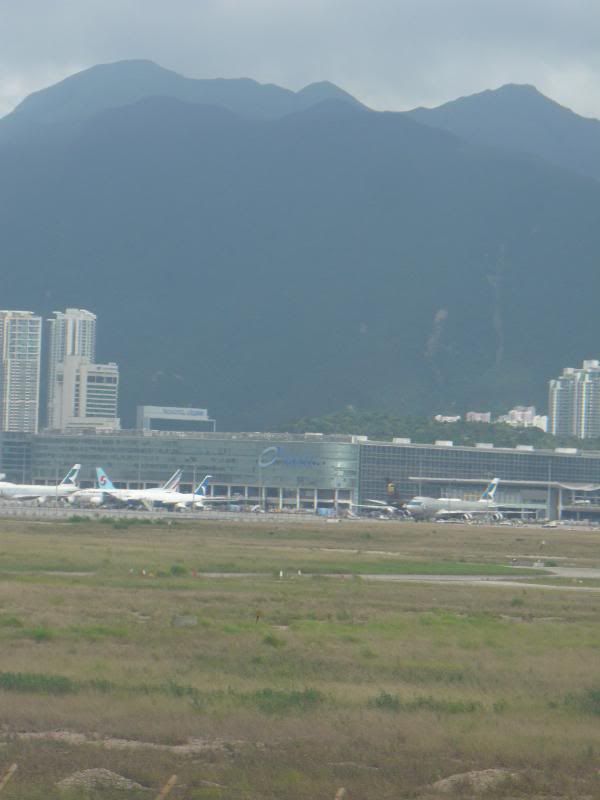 P1000328.jpg