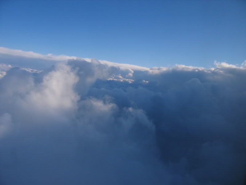 fin009.jpg