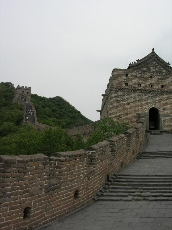 DSCN2520.jpg