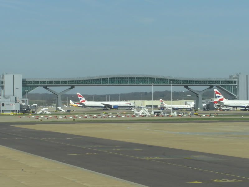 CIMG8516.jpg