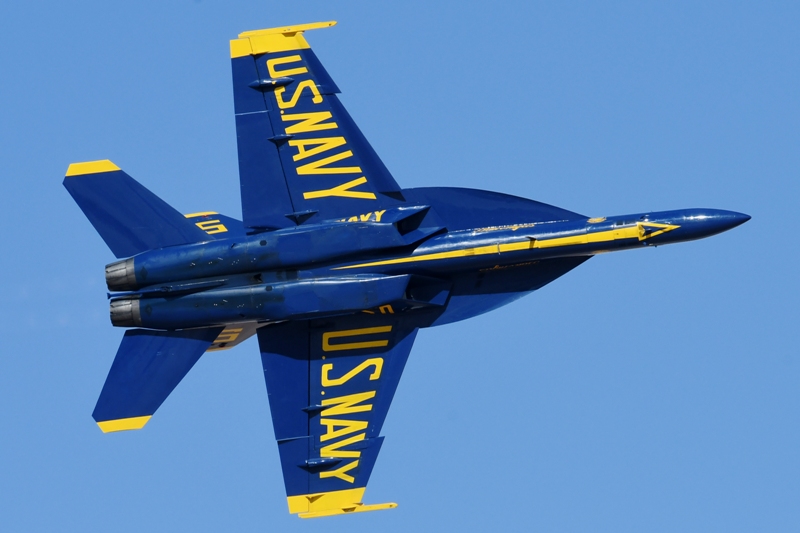 52024148865_594ff8b483_o.jpg