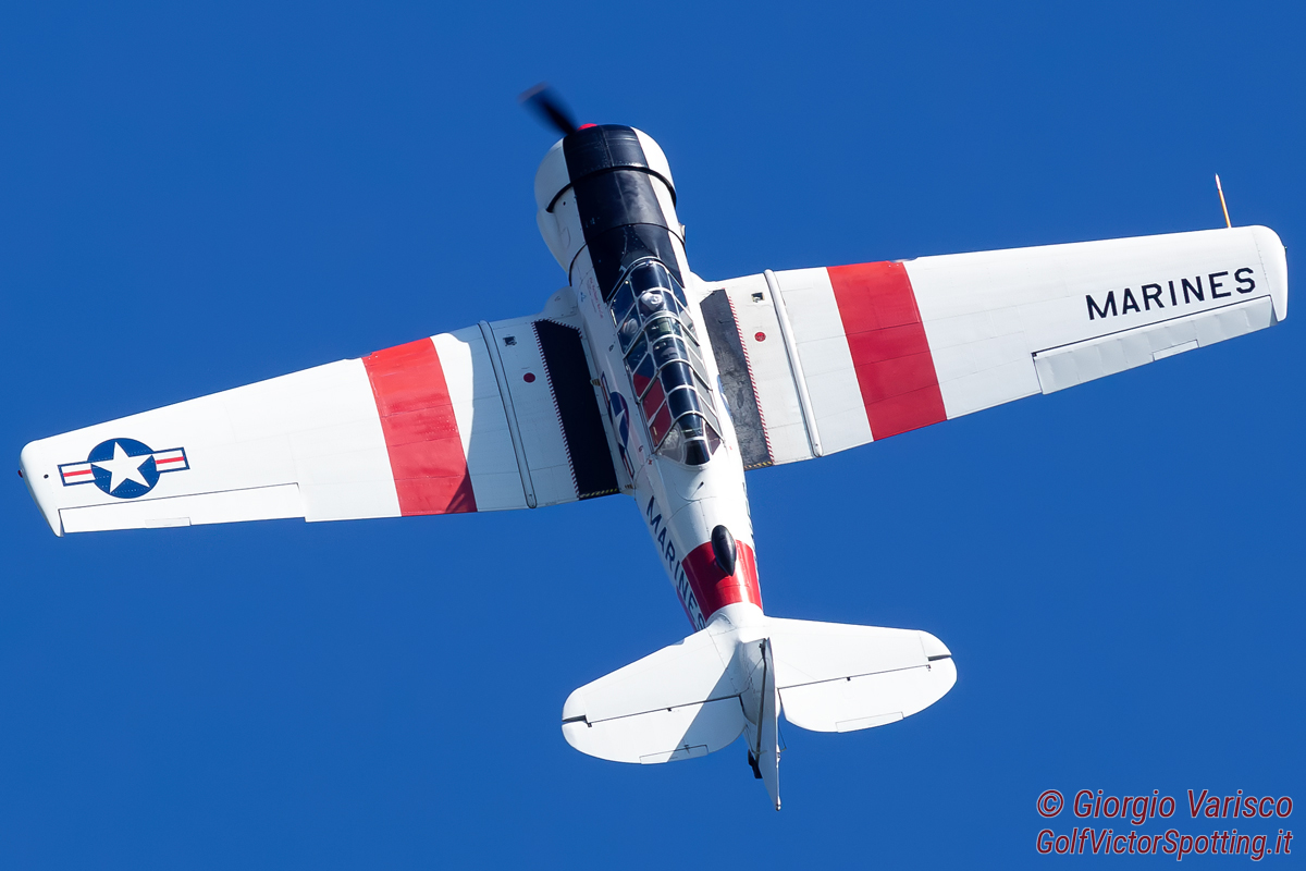 _MG_7378_290625.jpg