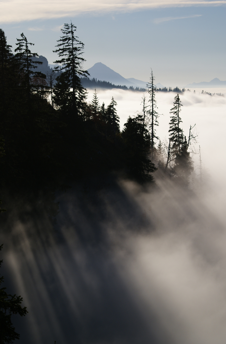 5081964598_349d73fa8b_o.jpg