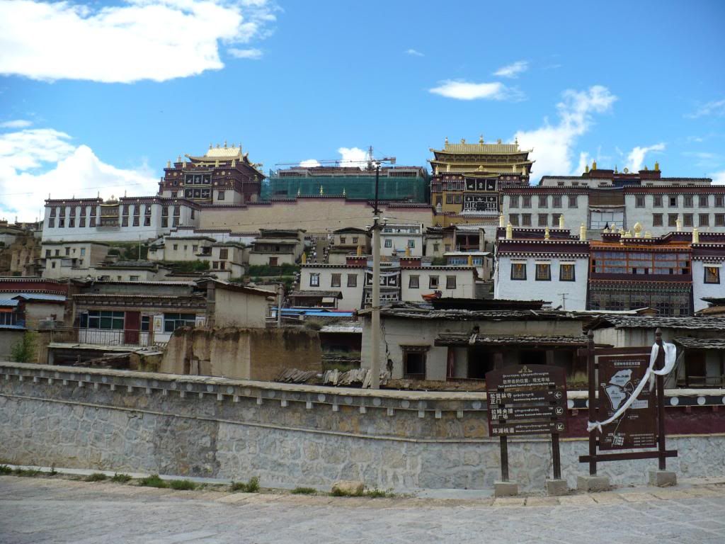 P1010185.jpg