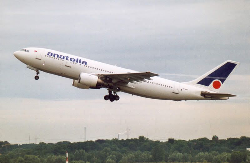 ntl-a300.jpg