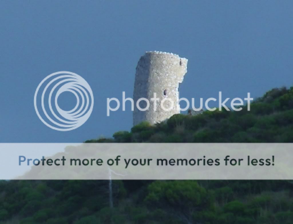 DSCN8109.jpg