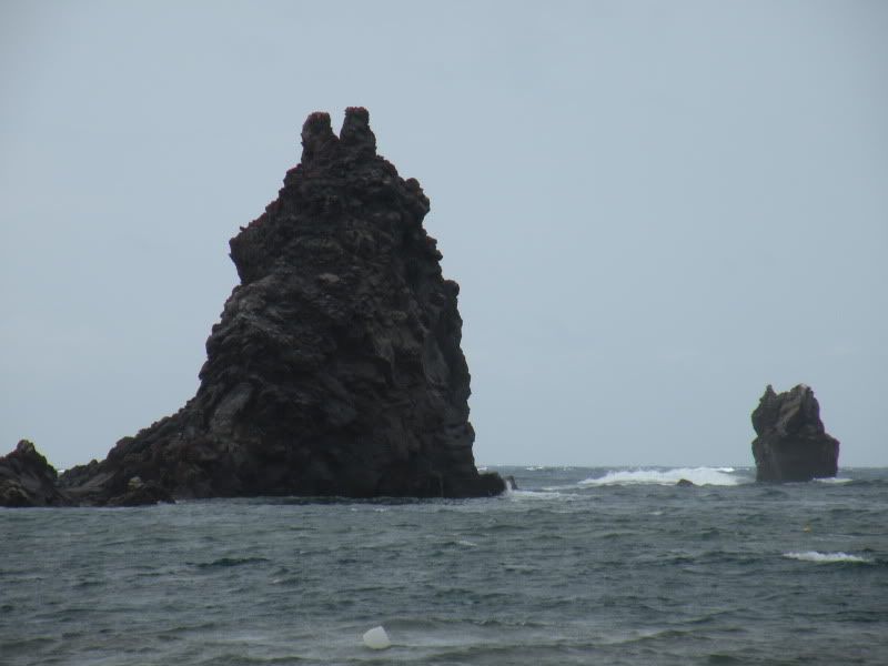 DSCN8231.jpg