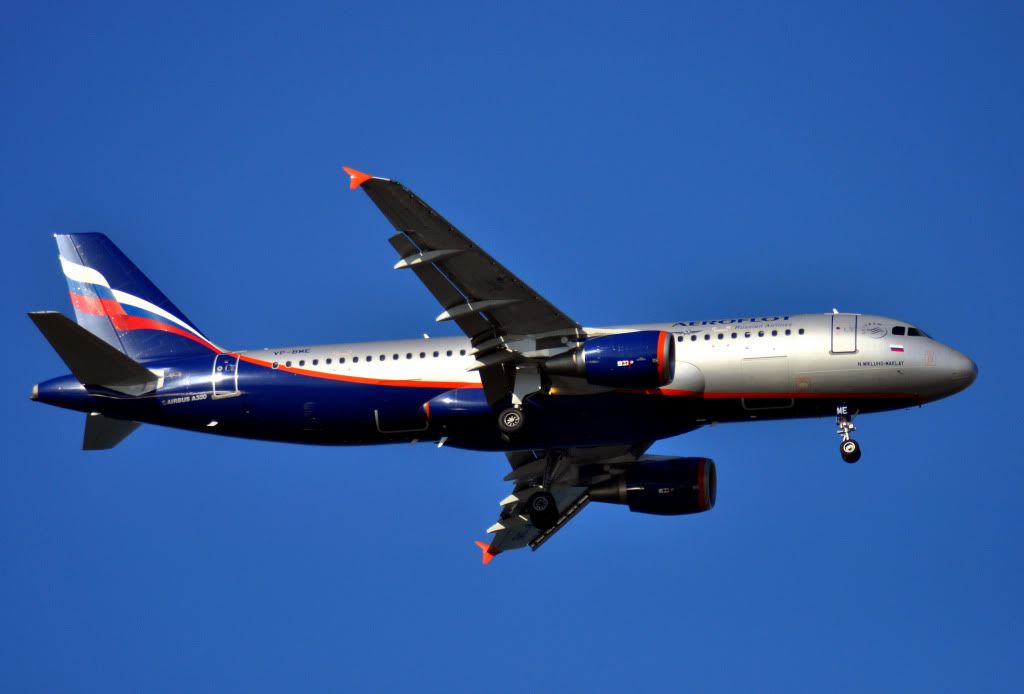 DSC_0216-2.jpg