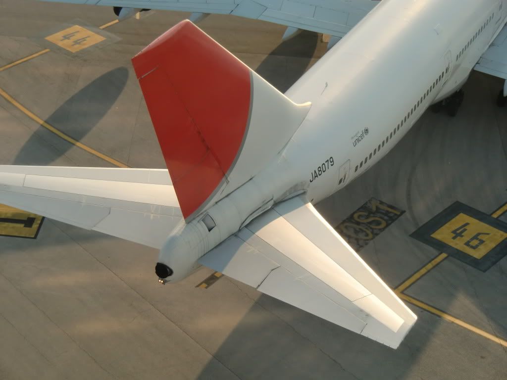 CIMG1359.jpg