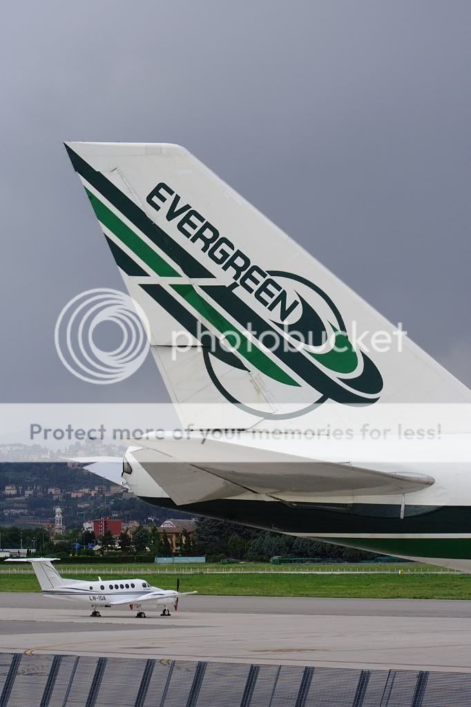 EgreenTail1807.jpg