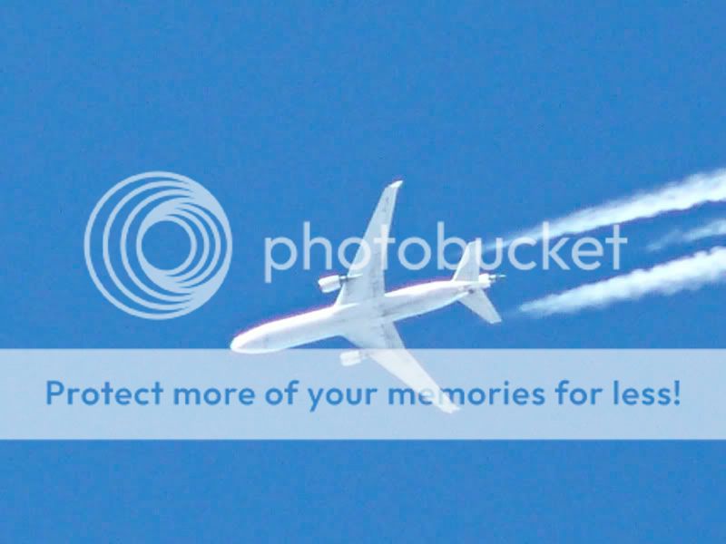 MD11SiusiSpotit-5.jpg