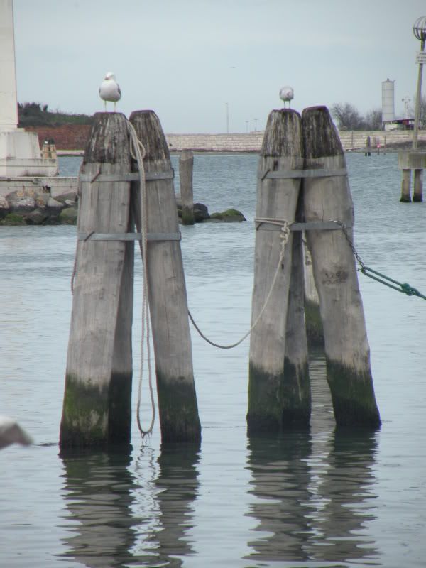 DSCN4631.jpg