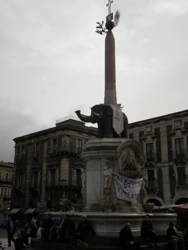 DSCN8267.jpg