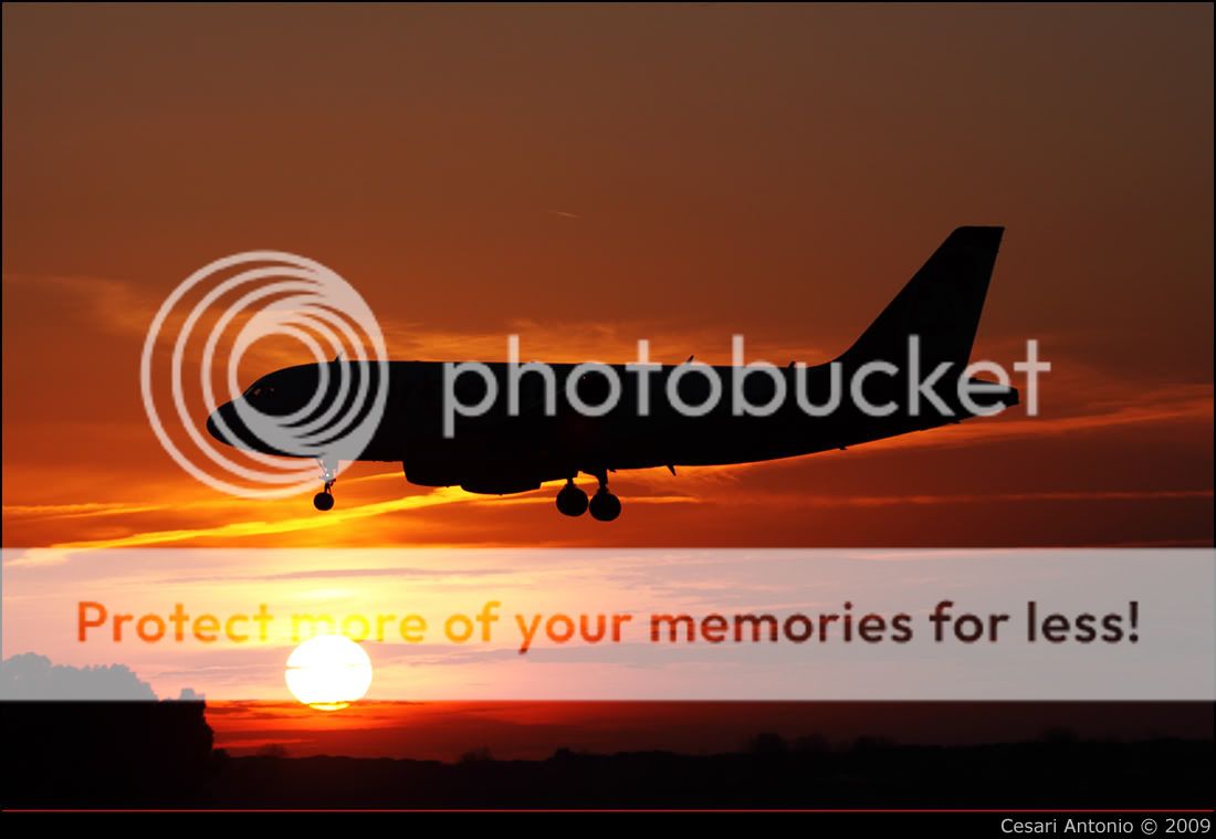 airberlin__bibbi.jpg