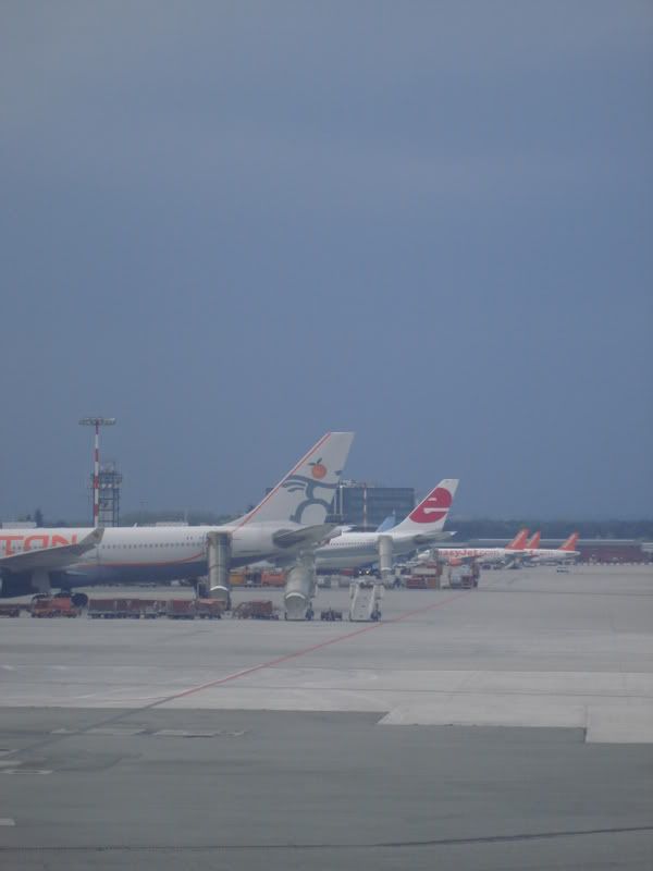 DSC01005.jpg