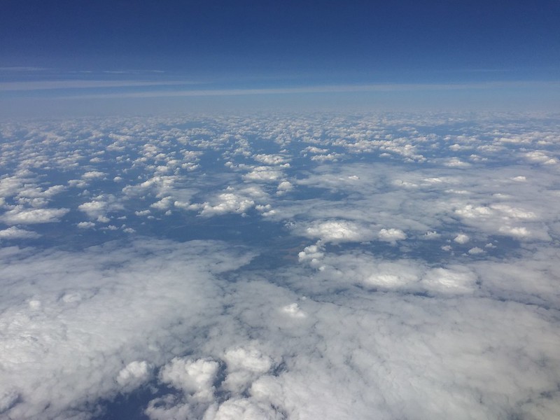 36418937462_f60820e45e_c.jpg