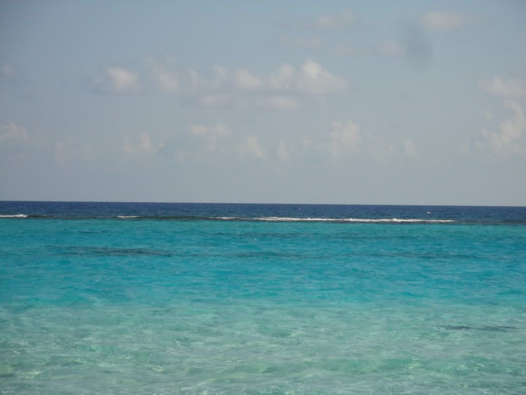 DSC05615.jpg