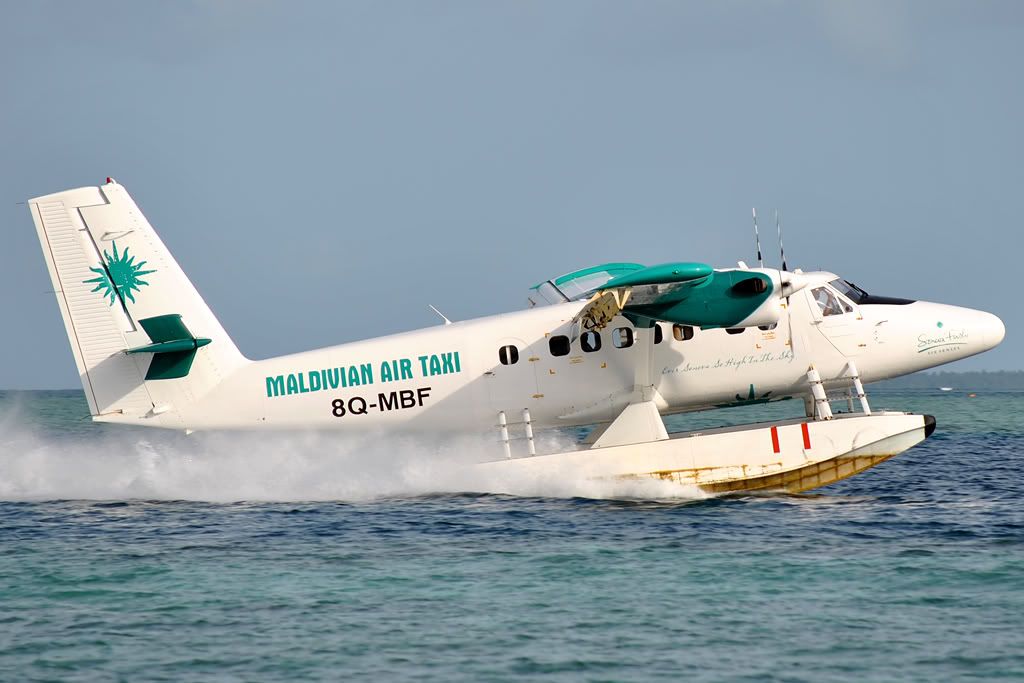 DSC_0180.jpg