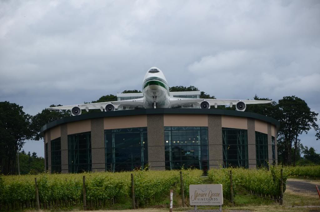 DSC_1632.jpg