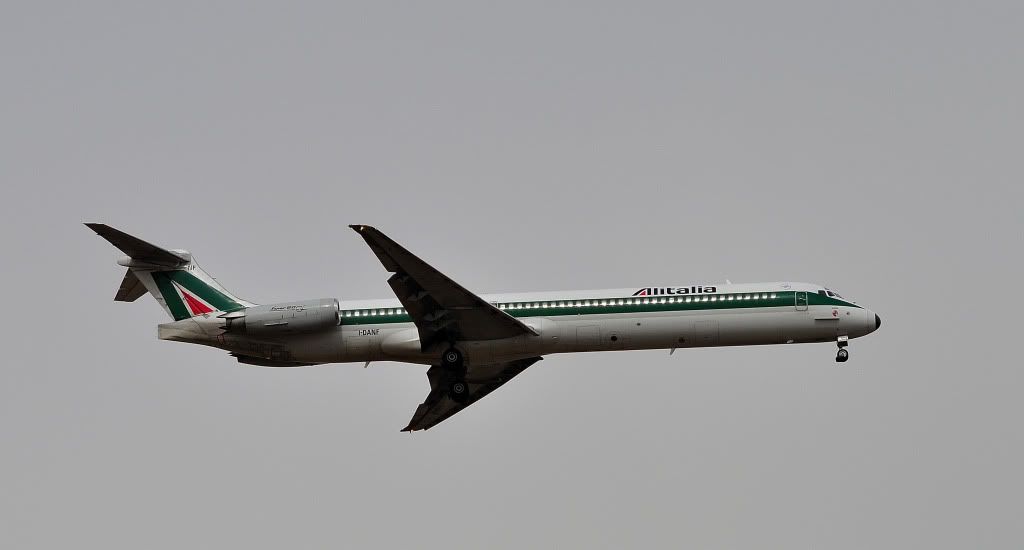 CSC_1412.jpg