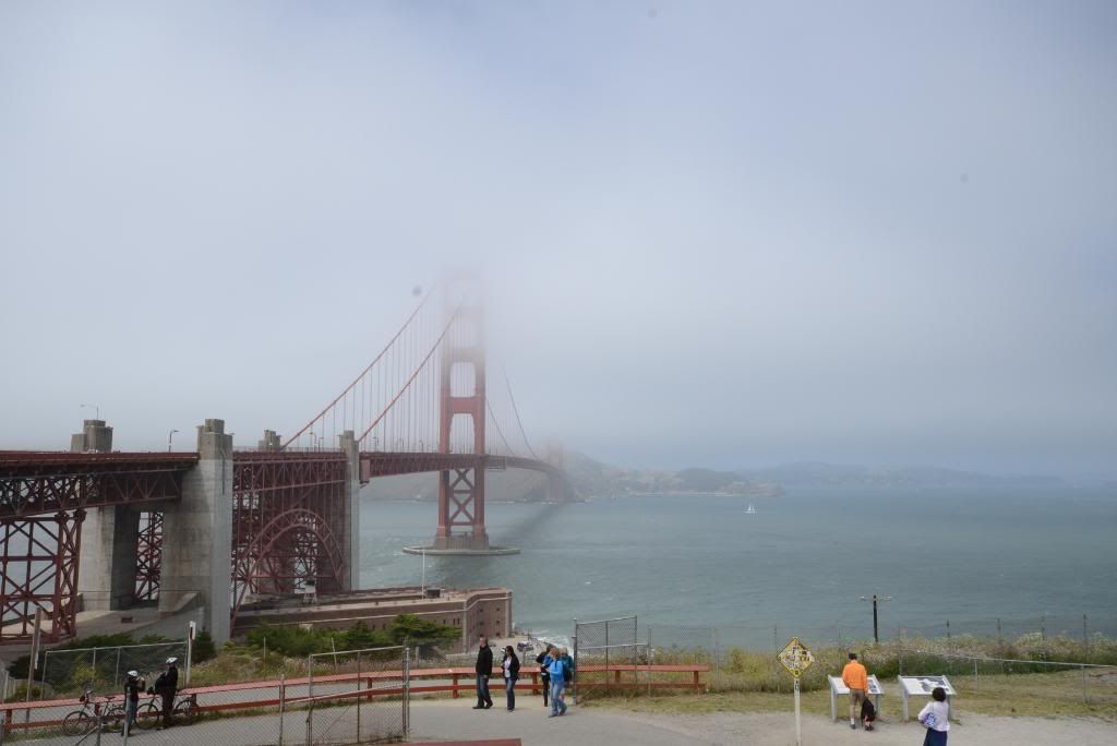 DSC_1432.jpg