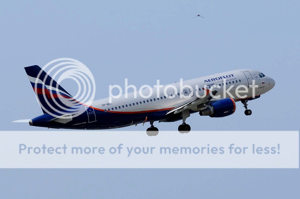 aeroflot2-1.jpg