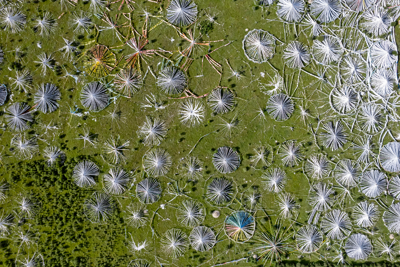 52477591252_a307525612_o.jpg