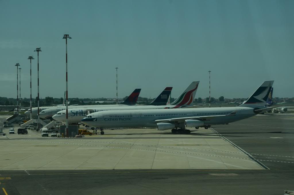 DSC_0426.jpg