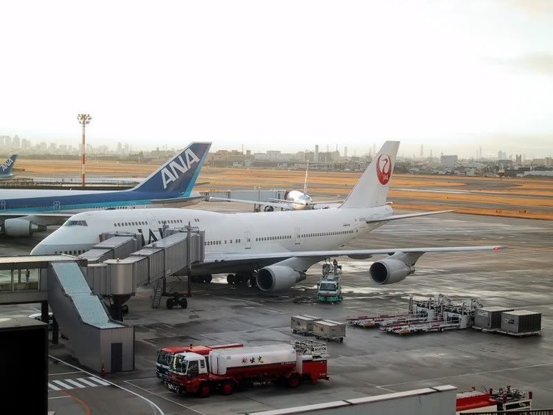 jal744D_6.jpg