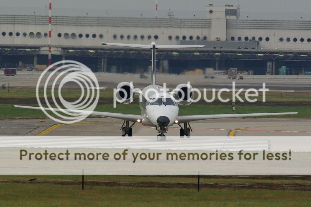 IMGP4525.jpg