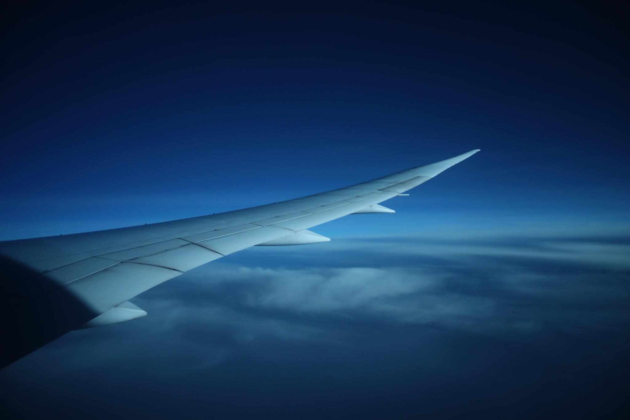 49044160138_e9b5383935_k.jpg