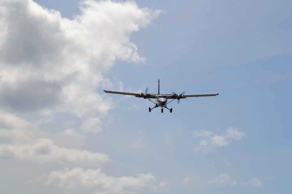 DSC_0377.jpg