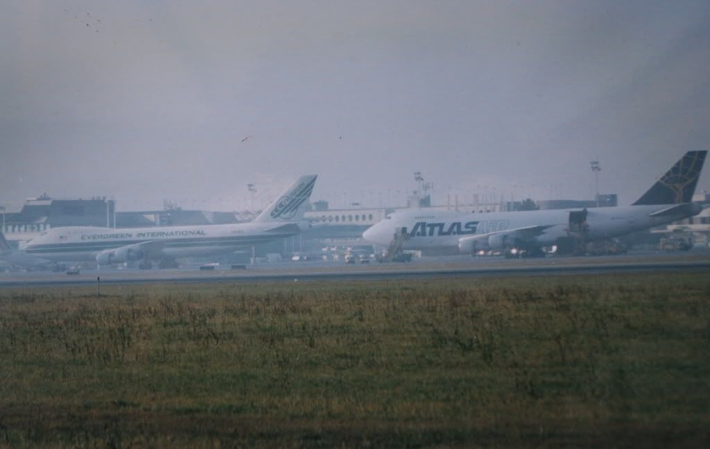 7343.jpg