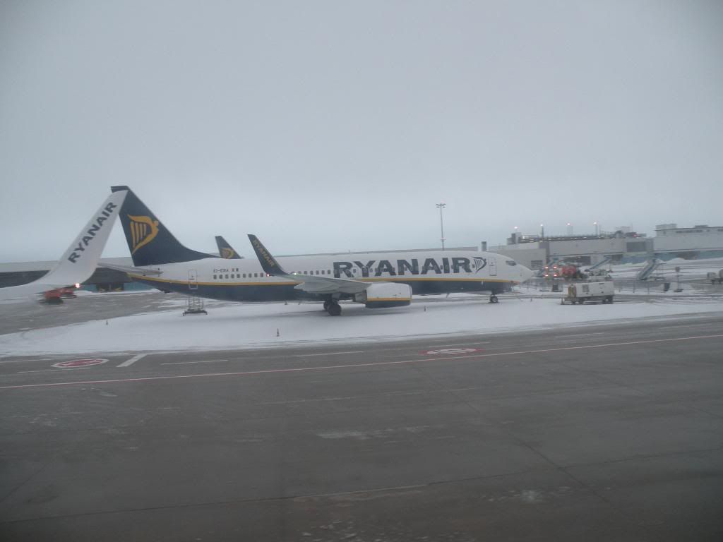 DSCN0488.jpg