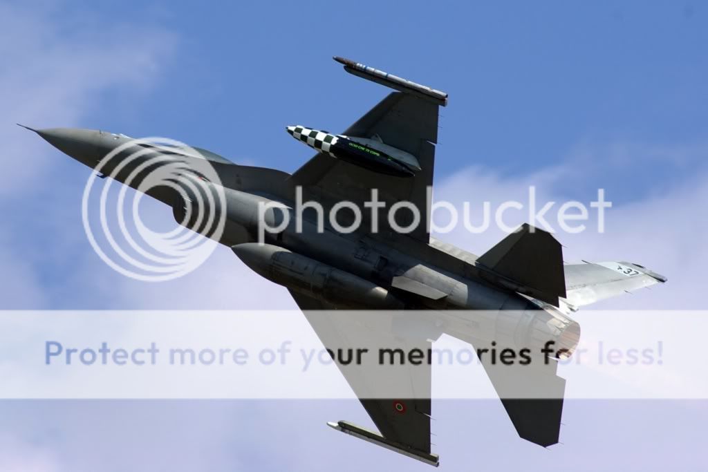 IMGP2135.jpg