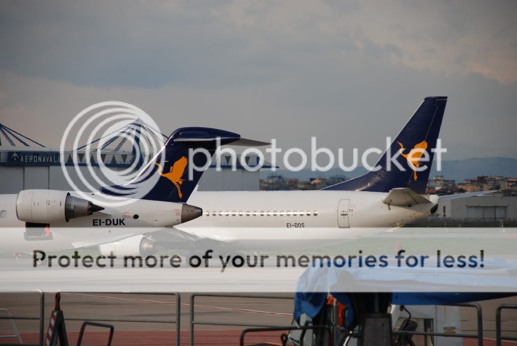DSC_5824.jpg