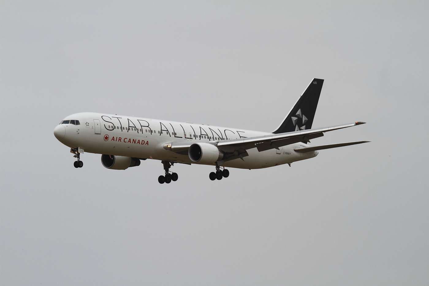 img6960a.jpg