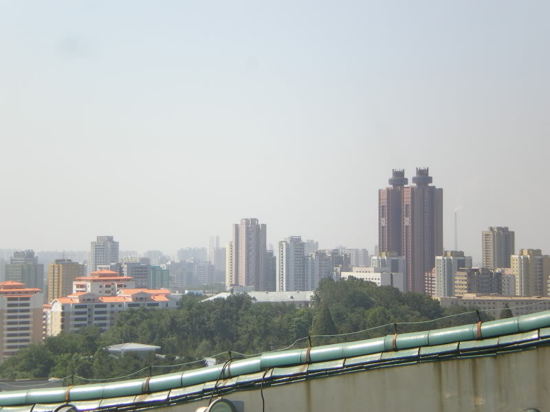 IMGP5697.jpg