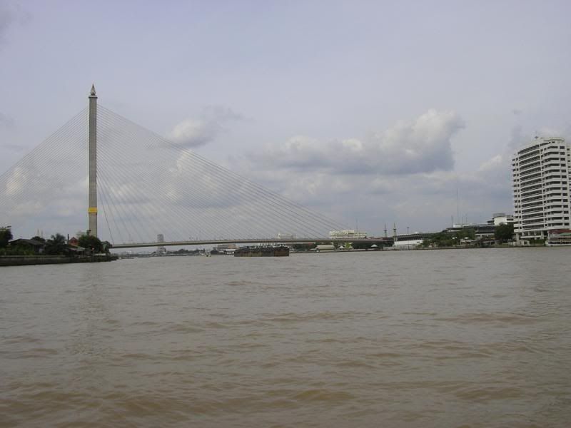 IMGP0350.jpg